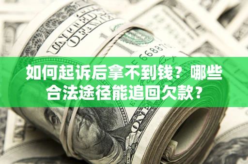 武汉如何起诉后拿不到钱？哪些合法途径能追回欠款？