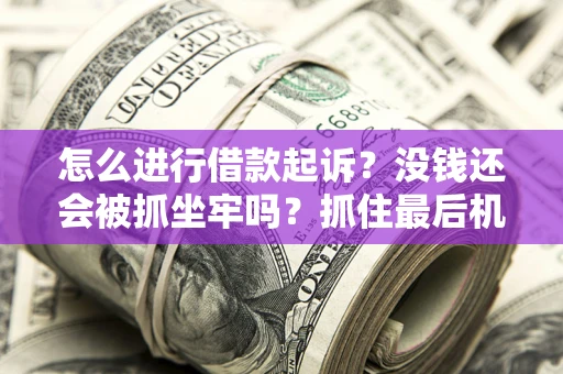 武汉怎么进行借款起诉？没钱还会被抓坐牢吗？抓住最后机会！