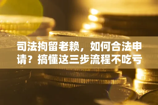 武汉司法拘留老赖，如何合法申请？搞懂这三步流程不吃亏！