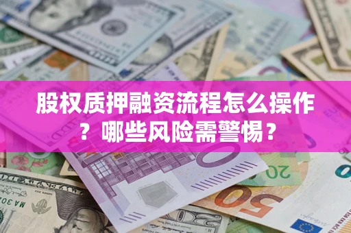 武汉股权质押融资流程怎么操作？哪些风险需警惕？