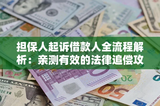 武汉担保人起诉借款人全流程解析：亲测有效的法律追偿攻略