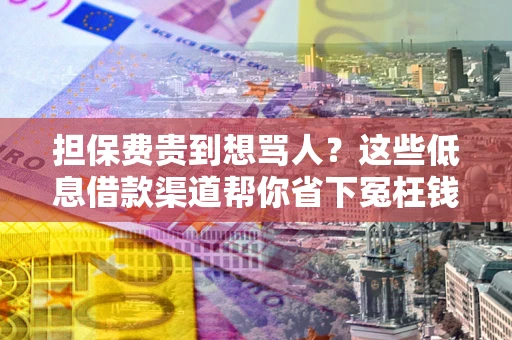 武汉担保费贵到想骂人？这些低息借款渠道帮你省下冤枉钱