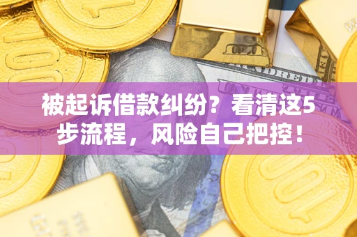 武汉被起诉借款纠纷？看清这5步流程，风险自己把控！