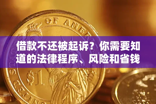 武汉借款不还被起诉？你需要知道的法律程序、风险和省钱技巧